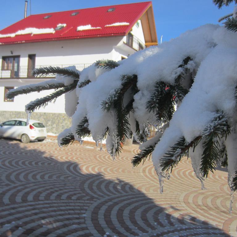 Complex Turistic Casianna & Spa Păltiniş Exterior foto