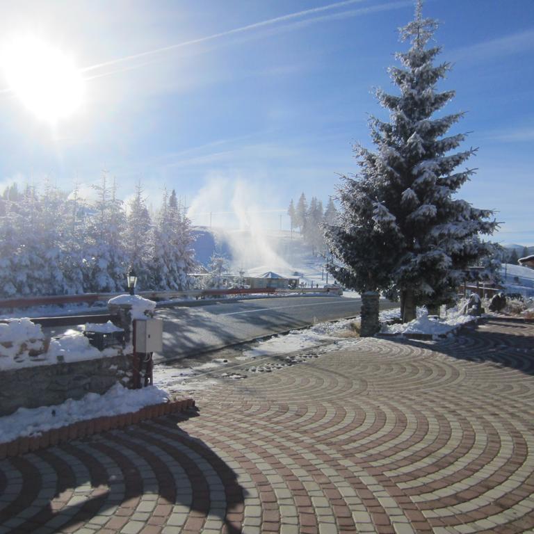 Complex Turistic Casianna & Spa Păltiniş Exterior foto